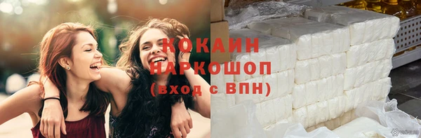 твердый Няндома