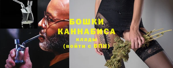 твердый Няндома