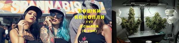 твердый Няндома