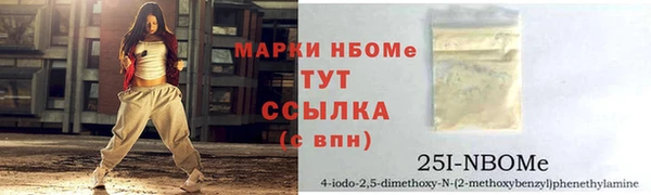 твердый Няндома