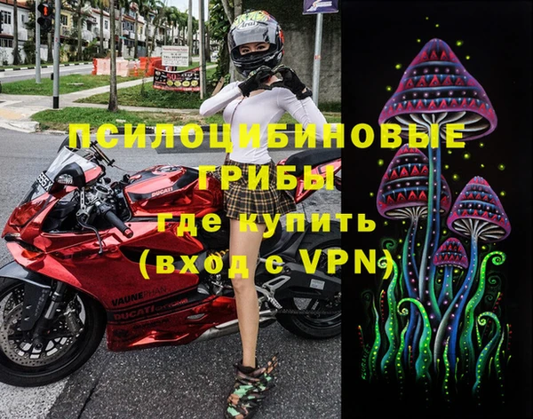 твердый Няндома