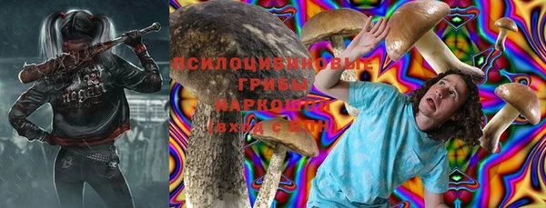твердый Няндома