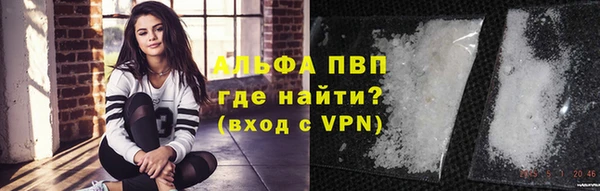 не бодяженный Новозыбков