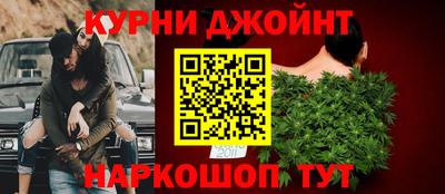 дмт Гай