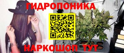 МДПВ Гагарин