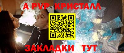 дмт Гай