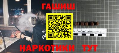 дмт Гай