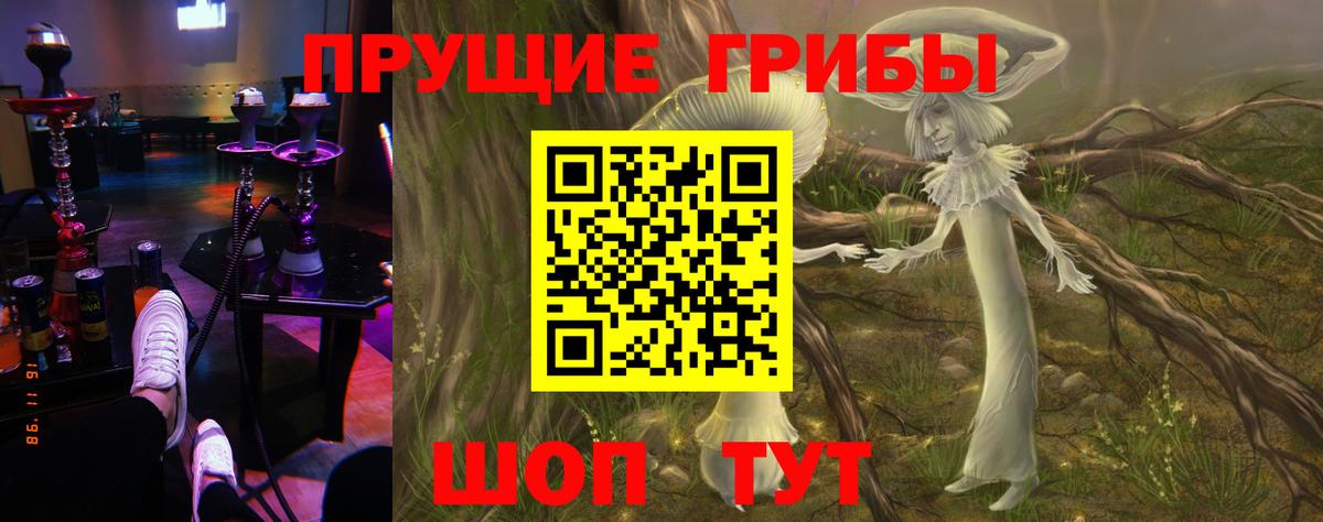 Псилоцибиновые грибы Psilocybine cubensis Лангепас