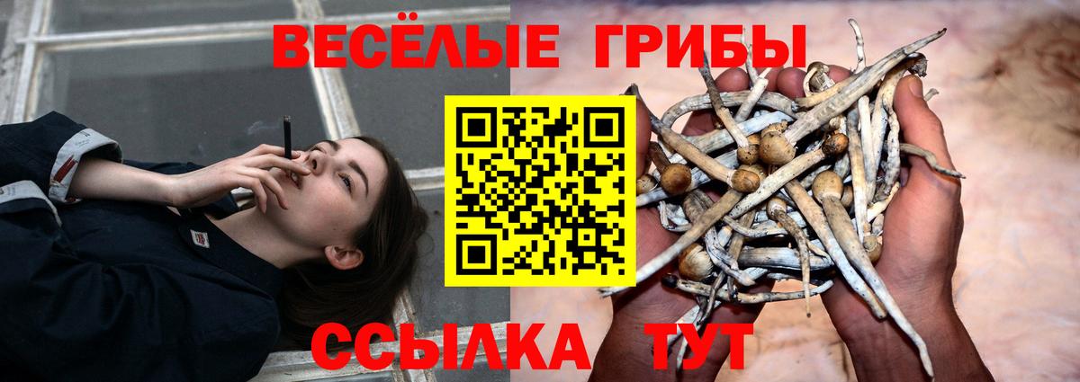 Галлюциногенные грибы прущие грибы  наркота  Лангепас  Галлюциногенные грибы мицелий  Вход с VPN 